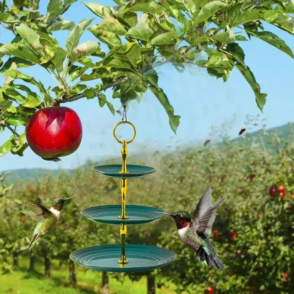 Bird Feeder Bath Bluebird Feeder Hangable Birdfeeder Birdbaths Fountain For Balcony Outdoor And Garden Decoration