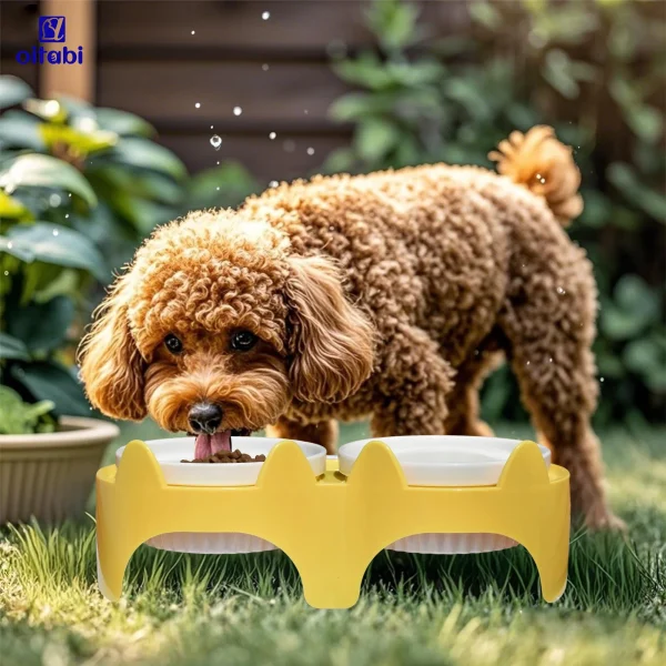 Oitabi Elevated Cat Bowls Whisker Friendly, Cat Food Bowls,15°Tilted Stand Anti Vomiting Raised Cat Dishes for Food and Water