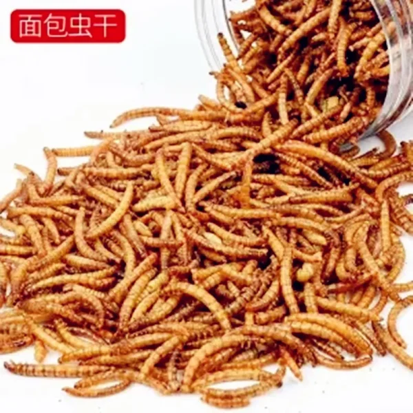 270ml Mealworm Dried Aquarium Tank Pond Fish Reptile Wild Bird Food Hamster Birdseed Lizard Turtle Arowana Tenebrio Chicken Feed