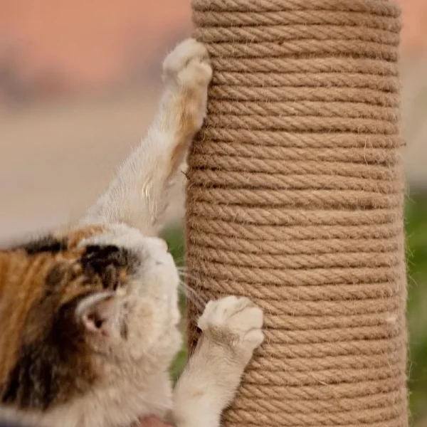 Cat Scratcher Rope DIY Natural Sisal Rope Toy Cats Paw Claw Furniture Protector Cat Tree Tower Climbing Frame Binding Rope
