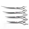 9inch 8" 7.0" Professional Japan Stainless Steel Pet Grooming Scissors Curved Hair Scissors For Cat And Dog Barber Shears