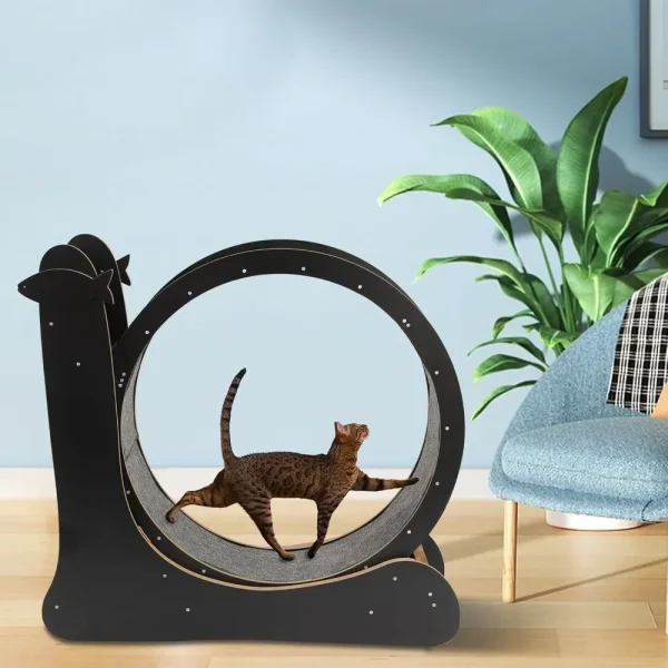 Cat Running Wheel, Exercise Wheel for Indoor Treadmill Low Noise Runing