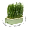 Organic Cat Grass Planter Kit With Wheat Seeds Hairball Relief Natural Digestive Aid Grow Your Own Cat Grass Bowl Set With Soil