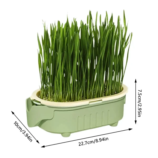Organic Cat Grass Planter Kit With Wheat Seeds Hairball Relief Natural Digestive Aid Grow Your Own Cat Grass Bowl Set With Soil