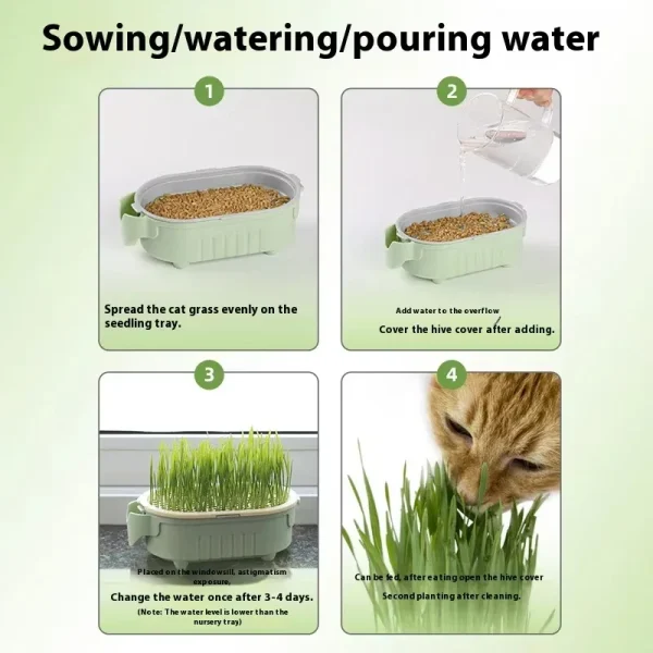 Organic Cat Grass Planter Kit With Wheat Seeds Hairball Relief Natural Digestive Aid Grow Your Own Cat Grass Bowl Set With Soil