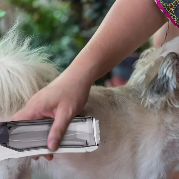 Dog Shaver Clipper 3-speed Cordless Pet Hair Clipper With Suction USB Vacuum Electric Dog Hair Trimmer Low Noise 1500mAh USB