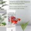 Fish Tank Small Aquascape Ecological Tank Home USB Power Planting Filtration NoWater Change Adjustable Breathing Light Fish Tank