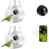 A15F-Bird Feeder With Camera, With HD Night-Version Plastic For Outdoor Bird Watching & Capture Photos B