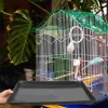 2Pcs Pet Tray Dog Crate Replacement Tray Bird Cage Litter Tray Rabbit Bottom Pan Parrot Potty Tray Cages Pet Products