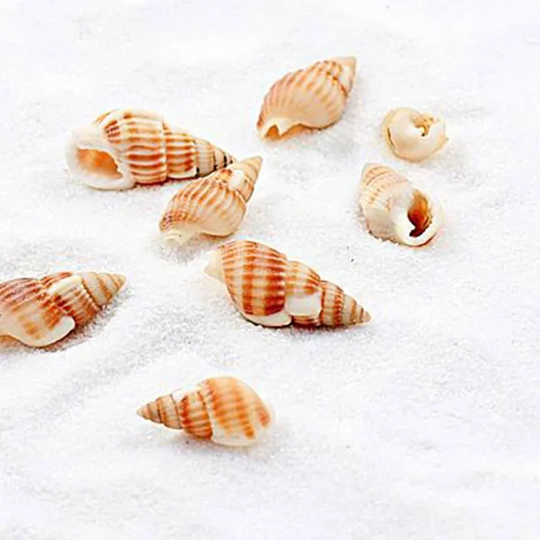 5 Packs Aquarium Sand Quartz 10kg for Fish White Tank Decoration Pebbles Bagged Substrate