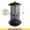 Giant combination screen bird feeder, 10 lb capacity, built-in drain, screw cap design, easy to fill, suitable for bird lovers
