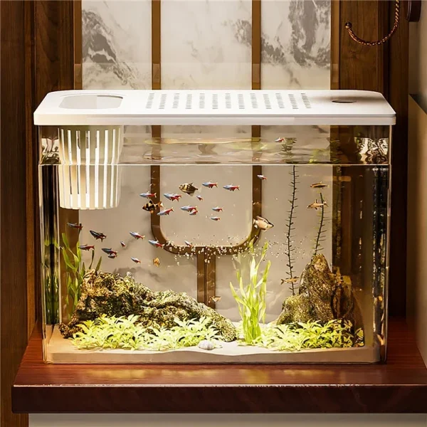 Transparent Fish Tank with Lid Aquarium Drop Resistant Hydroponic Tank Turtle Tank DIY Landscape Grass Shrimp Fish Container