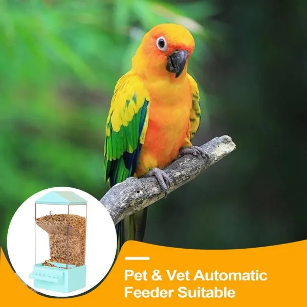 Automatic Parrot Feeder Smart Clear Parakeet Feeder Dispenser Squirrel-Proof Food Container Large Capacity Drinker Cage