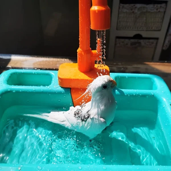 Bird Shower and Feeder with Automatic Parrot Bath Tub Faucet - Keep Your Birds Clean Happy Feeders Burd accesories