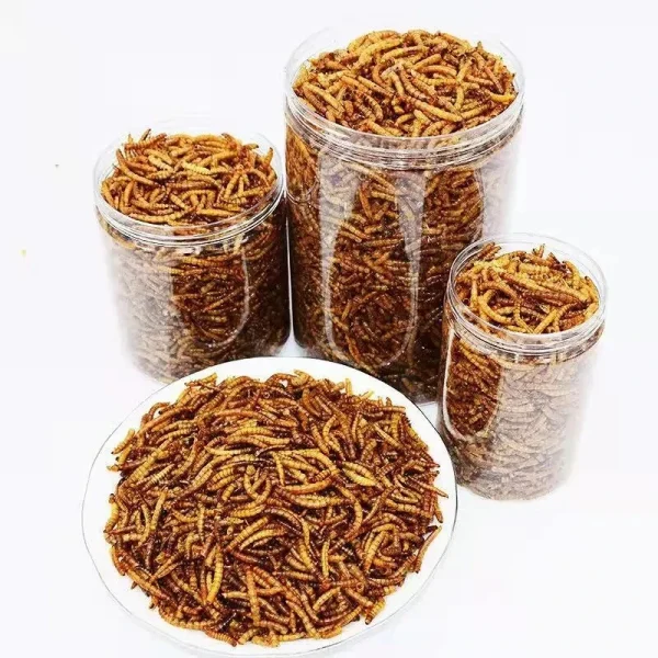 270ml Mealworm Dried Aquarium Tank Pond Fish Reptile Wild Bird Food Hamster Birdseed Lizard Turtle Arowana Tenebrio Chicken Feed