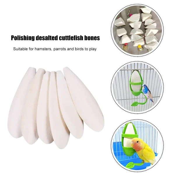 10pcs Natural Cuddle Bone Calcium Supplement Pet Bird Food Edible Chewing Cuttlefish Bone Nutritional Supplements Gifts for Pets