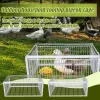 Auto Trap Bird Cage Rabbit Cage Mouse Cage Entry Only No Exit Thickened Encrypted Automatic Pigeon Collecting Portable Bird Cage