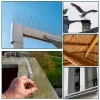 1-10Pcs Pigeon Spikes Stainless Steel Bird Spike Bird Deterrent Wire Spikes Keep Birds Away Proof Nails for Fence Roof Blacony