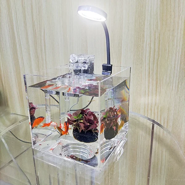 home office desktop transparent acrylic aquarium water grass ecological breeding small water tank, small shrimp, small turtle, s