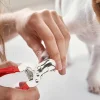 Nail Clippers For Dogs Safe Puppy Nail Clippers Dog Nail Cutter Stainless Steel Cat Nail Trimmer Dog Nail File Pet Nail Clippers