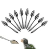 10pcs Portable baby bird feeding water spoon bird parrot feeding spoon stainless steel water milk powder feeder Animal Care Tool