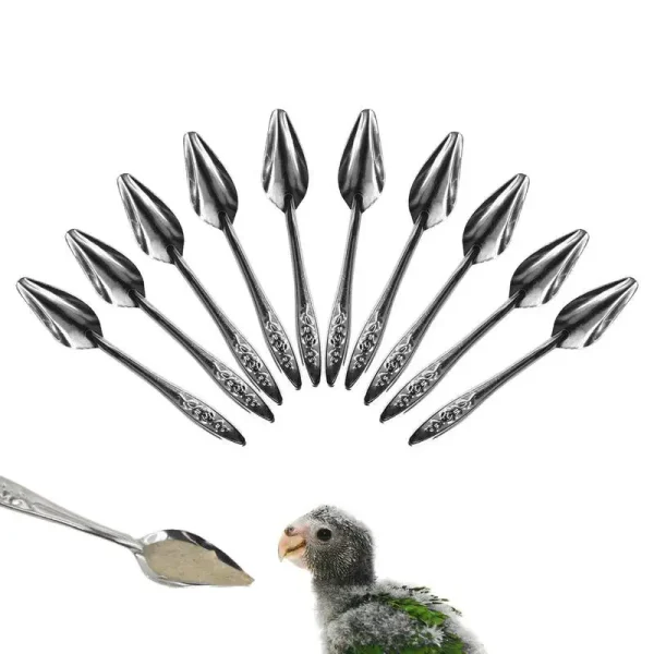 10pcs Portable baby bird feeding water spoon bird parrot feeding spoon stainless steel water milk powder feeder Animal Care Tool