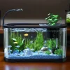 Betta Fish Smart Tank With Filtration And Lights Aquarium Kit Starter Aquarium Fish Bowl For Betta Tortoise Frog