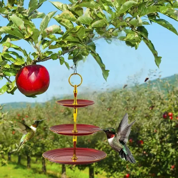 Bird Feeder Bath Bluebird Feeder Hangable Birdfeeder Birdbaths Fountain For Balcony Outdoor And Garden Decoration