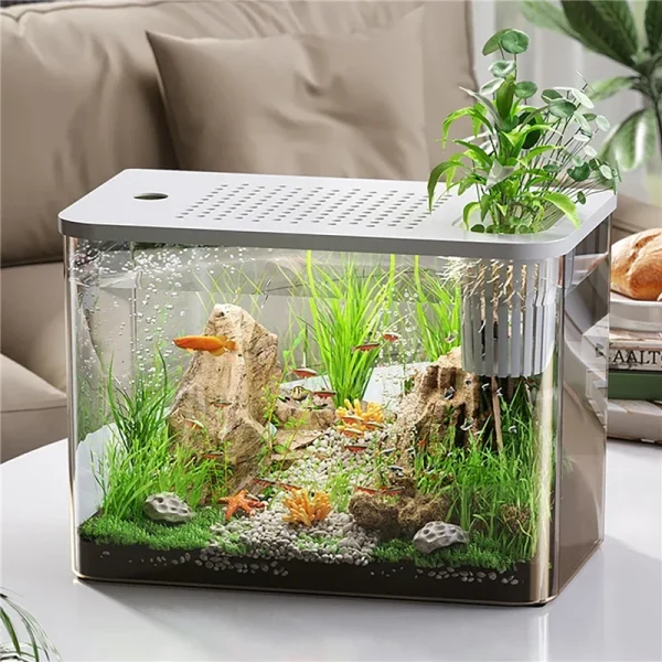 Transparent Fish Tank with Lid Aquarium Drop Resistant Hydroponic Tank Turtle Tank DIY Landscape Grass Shrimp Fish Container