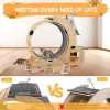 Cat Wheel 6-in-1 Exercise ,Upgraded Exerciser for Indoor,Large Treadmill, Running with Silent Wheel