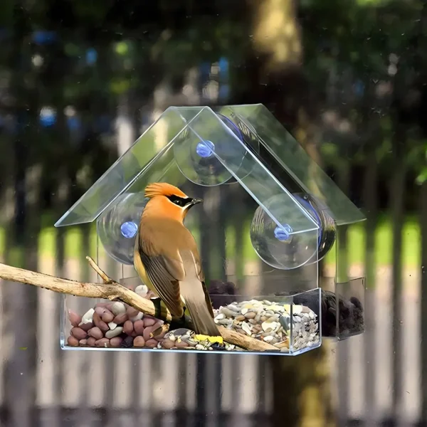 House Transparent Window Wild Bird Feeder Outdoor Removable Suction Cups Sliding Automatic Birds Feed Tray for Garden Patio Yard