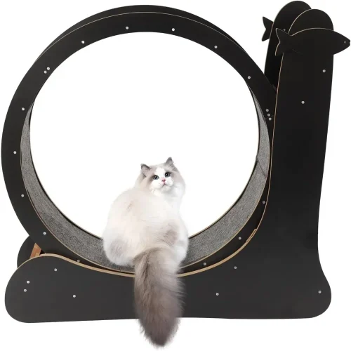 Cat Running Wheel, Exercise Wheel for Indoor Treadmill Low Noise Runing