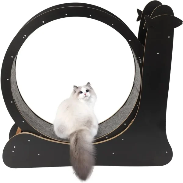 Cat Running Wheel, Exercise Wheel for Indoor Treadmill Low Noise Runing