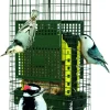 Bird Care Squirrel Buster Truly Squirrel-Proof Suet Feeder (Green)