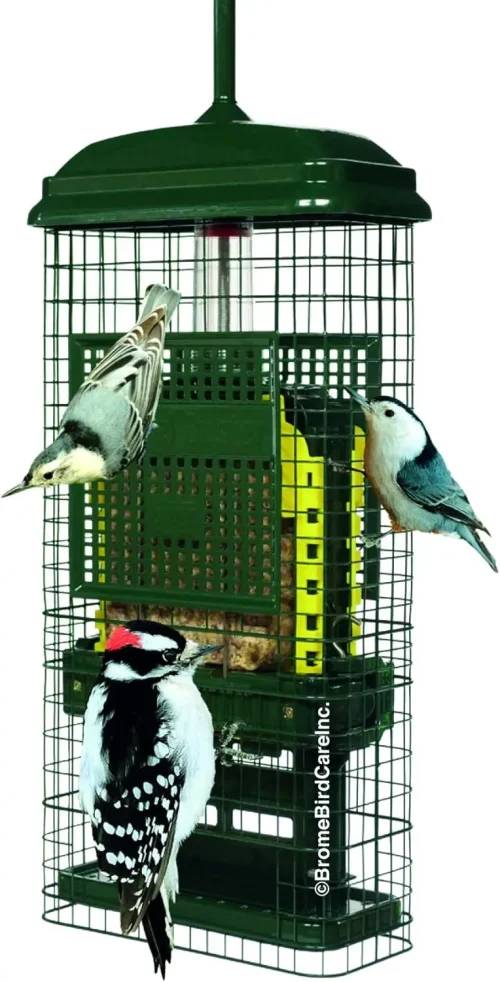 Bird Care Squirrel Buster Truly Squirrel-Proof Suet Feeder (Green)
