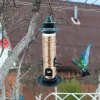 Bird Feeder for Outdoors Hanging Squirrel Proof Wild Bird Feeder with 4 Feeding Ports Tube Bird Feeder for Garden Yard