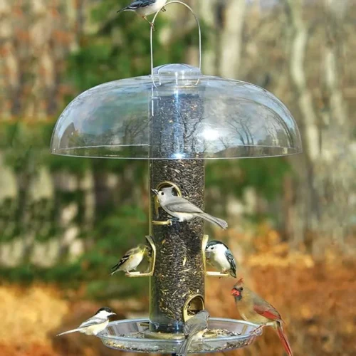 Aspects Big Tube Wild Bird Feeder with Seed, Dome, and Tray