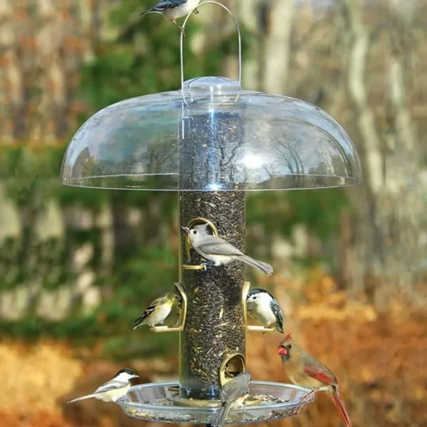Aspects Big Tube Wild Bird Feeder with Seed, Dome, and Tray