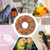 Parrot Teething Stick 5cm A variety of natural grains and fresh fruits and vegetables Comprehensive nutritional supplement food