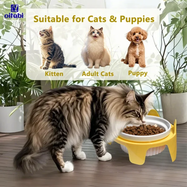 Oitabi Elevated Cat Bowls Whisker Friendly, Cat Food Bowls,15°Tilted Stand Anti Vomiting Raised Cat Dishes for Food and Water