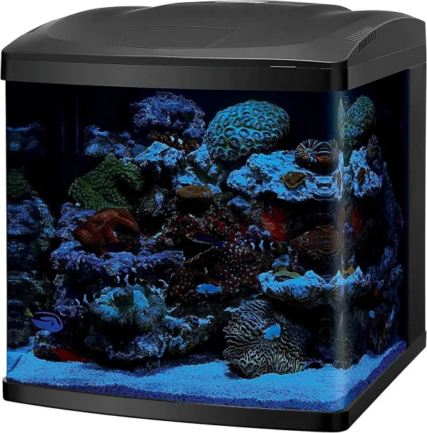 Aquarium Fish Tank Kit, 32 Gallon