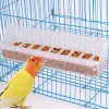 Pigeon Feeder Removable 6 Slots Hanging Chicken Feeder Trough Water Trough for Pigeon Parrots Chicks Quail Duck Bird Poultry 1Pc
