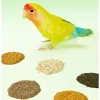 YEE Lovebird & Parrot Food - Nutrient-Rich Pellets with Canary Seeds & Dried Fruits | Diet for Sun Conure,Cockatiel&Small Birds