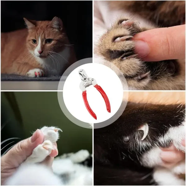 Nail Clippers For Dogs Safe Puppy Nail Clippers Dog Nail Cutter Stainless Steel Cat Nail Trimmer Dog Nail File Pet Nail Clippers