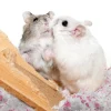 Paper Cotton Pad Small Pet Bedding Cage Accessories Hamster Nesting Material Rabbit Guinea Pig Gerbil Ferret Chinchilla