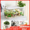 Transparent Fish Tank with Lid Aquarium Drop Resistant Hydroponic Tank Turtle Tank DIY Landscape Grass Shrimp Fish Container