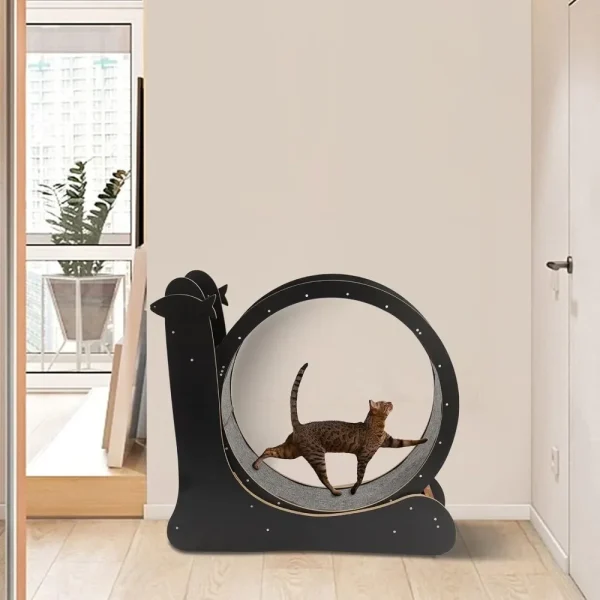 Cat Running Wheel, Exercise Wheel for Indoor Treadmill Low Noise Runing