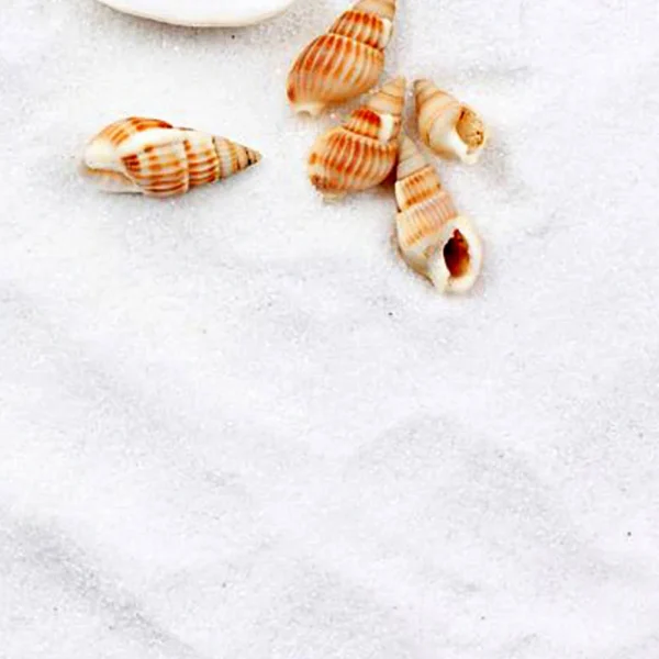 5 Packs Aquarium Sand Quartz 10kg for Fish White Tank Decoration Pebbles Bagged Substrate