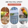 Automatic Parrot Food Feeder No Messes Bird Feeders Acrylic Seed Food Container Cage Accessories For Small And Medium Parakeets