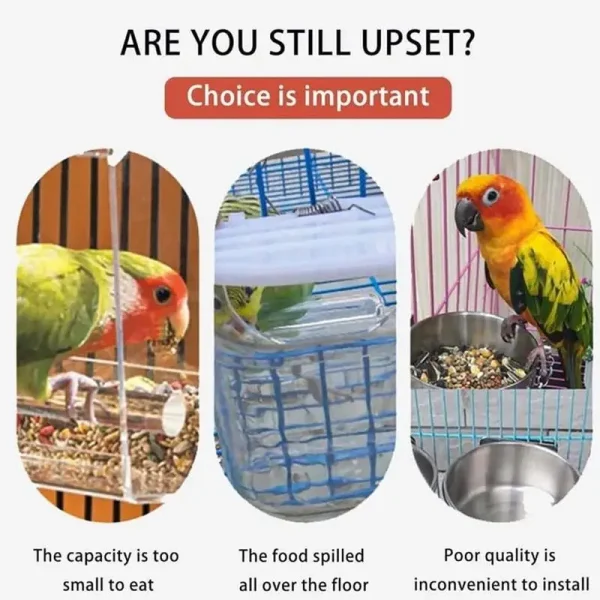 Automatic Parrot Food Feeder No Messes Bird Feeders Acrylic Seed Food Container Cage Accessories For Small And Medium Parakeets